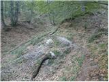 Dom Planica - Ciprnik